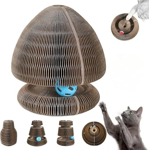 Kitten Curl, Kitten Curl Toy,Magic Organ Cat Scratcher,Kitten Kurls Cat Toy, Interaktives Kratzpad Cat Toy mit Toy Bell Ball für Indoor Cat Kitten Curl, Kitten Curl Toy,Magic Organ Cat Scratcher,Kitten Kurls Cat Toy, Interaktives Kratzpad Cat Toy mit Toy Bell Ball für Indoor Cat von Generic