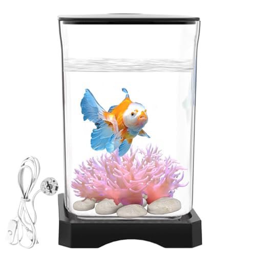 Kleines Aquarium, kleine Aquarien mit LED-Beleuchtung – klare Schreibtischdekoration, Wasserlandschaftsgestaltung mit Futterloch für Heimbüros von Generic