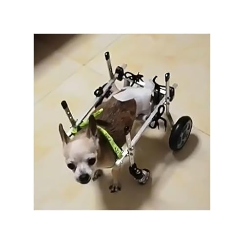 Knieorthese Für Kleine Hunde Bei Gerissenem Vorderen Kreuzband Am Hinterbein, Verstellbarer Hunderollstuhl Für Haustiere/Hunde, Hüftstütze Für Hunde, Laufräder Für Tiere(L) von Generic