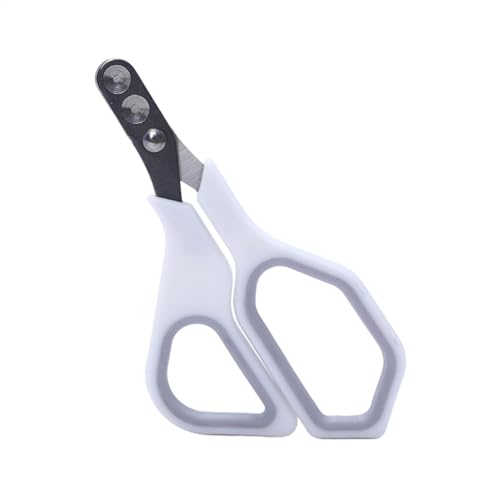 Krallenschere für Katzen, Krallenschere für Katzen, Nagelschere für Kätzchen, Nagelknipser, Haustierzubehör, Haarschneider für Vögel, Kätzchen, Welpen, Kleintiere, Kaninchen Krallenschere für Katzen, Krallenschere für Katzen, Nagelschere für Kätzchen, Nagelknipser, Haustierzubehör, Haarschneider für Vögel, Kätzchen, Welpen, Kleintiere, Kaninchen von Generic