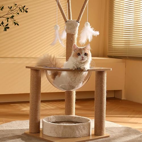 Kratzbaum für Hauskatzen mit abnehmbarem Kratzbrett, Katzenturm mit transparentem Acrylbett, Ballspielzeug zum Aufhängen und Katzen-Sisal-Kratzstämmen Kratzbaum für Hauskatzen mit abnehmbarem Kratzbrett, Katzenturm mit transparentem Acrylbett, Ballspielzeug zum Aufhängen und Katzen-Sisal-Kratzstämmen von Generic