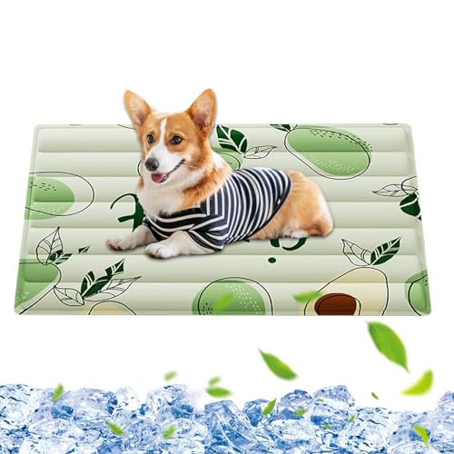 Kühlendes Hundebett - Katzenhöhle - atmungsaktives Sommerbett für kleine und mittelgroße Hunde und Katzen Kühlendes Hundebett - Katzenhöhle - atmungsaktives Sommerbett für kleine und mittelgroße Hunde und Katzen von Generic