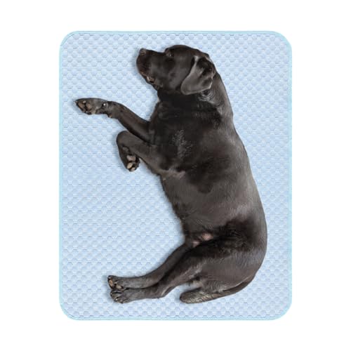 Kühlkissen für Hunde – waschbares Thermokissen für Hunde | Zubehör Katzenbett waschbar tragbare Decke für Welpen Kätzchen Haustiere Innen Außen Eingang Boden Kühlkissen für Hunde – waschbares Thermokissen für Hunde | Zubehör Katzenbett waschbar tragbare Decke für Welpen Kätzchen Haustiere Innen Außen Eingang Boden von Generic