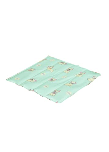 Kühlmatte Hund Kühlmatte Für Hunde Haustier-eismatte, Sommerkühlung, Katzenmatte, Eisnest, Beißfeste Hundematte Für Schlafende Hunde Im Sommer, Mintgrün Fadou, L: 90 X 60 cm von Generic