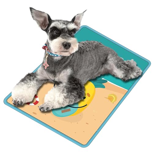 Kühlmatte für Hunde, doppelseitig, rutschfest, bequeme Haustiermatte für Reisen, Spielen, Training, Katzenmatte für kleine Hunde, Katzen und Hunde Kühlmatte für Hunde, doppelseitig, rutschfest, bequeme Haustiermatte für Reisen, Spielen, Training, Katzenmatte für kleine Hunde, Katzen und Hunde von Generic