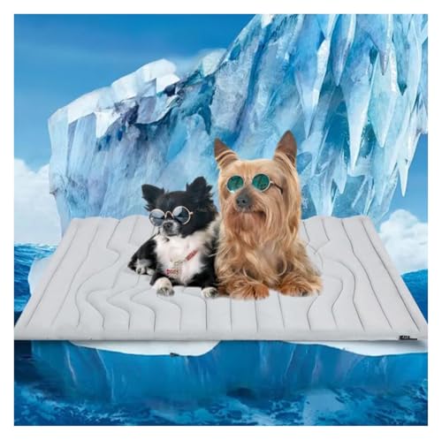 Kühlmatte für Hunde selbstkühlend Ungiftiges Gel Doppelseitiger Kühlstoff Maschinenwaschbar Selbstkühlendes Kühlbett Geeignet für zu Hause und unterwegs(XL-150 * 101cm) von Generic