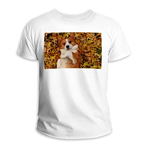 Kurzärmeliges T-Shirt, Rundhalsausschnitt, 100 % Baumwolle, für Haustiere, Corgi-Hund, spielt auf Herbstblättern, Mehrfarbig, S/Einheitsgröße Kurzärmeliges T-Shirt, Rundhalsausschnitt, 100 % Baumwolle, für Haustiere, Corgi-Hund, spielt auf Herbstblättern, Mehrfarbig, S/Einheitsgröße von Generic