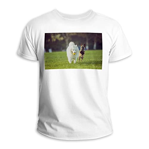 Kurzärmeliges T-Shirt mit Rundhalsausschnitt, 100 % Baumwolle, Happy Pet Hunde spielen auf Gras, Mehrfarbig, 4XL/Einheitsgröße Kurzärmeliges T-Shirt mit Rundhalsausschnitt, 100 % Baumwolle, Happy Pet Hunde spielen auf Gras, Mehrfarbig, 4XL/Einheitsgröße von Generic