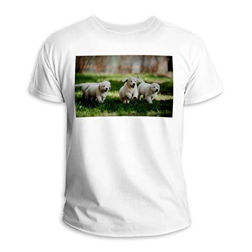 Kurzärmeliges T-Shirt mit Rundhalsausschnitt, 100 % Baumwolle, mehrfarbig Kurzärmeliges T-Shirt mit Rundhalsausschnitt, 100 % Baumwolle, mehrfarbig von Generic