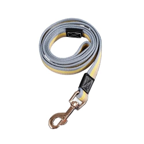 Lange Trainingsleine für Hunde und Welpen, Trainingsleine (gelb, 2 x 2 m) von Generic