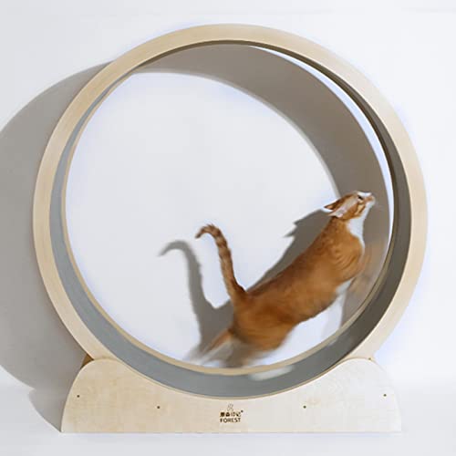 Laufband für Katzen, Holz-Katzenlaufrad, Laufband für Haustiere, Hamsterrad für Haustiere, zum Abnehmen von Hauskatzen, Laufradspielzeug für Katzen mit Schloss, geräuschloser und sanfter Lau Laufband für Katzen, Holz-Katzenlaufrad, Laufband für Haustiere, Hamsterrad für Haustiere, zum Abnehmen von Hauskatzen, Laufradspielzeug für Katzen mit Schloss, geräuschloser und sanfter Lau von Generic