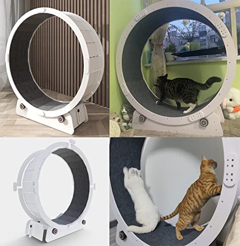 Laufband für Katzen, Laufband für Katzen, leise, kleine, mittelgroße und große Laufbänder für Katzen, Spielzeug für Katzenlaufräder, Indoor-Katzenlaufrad für Kätzchen, Haustiere (Größe: M-In Laufband für Katzen, Laufband für Katzen, leise, kleine, mittelgroße und große Laufbänder für Katzen, Spielzeug für Katzenlaufräder, Indoor-Katzenlaufrad für Kätzchen, Haustiere (Größe: M-In von Generic