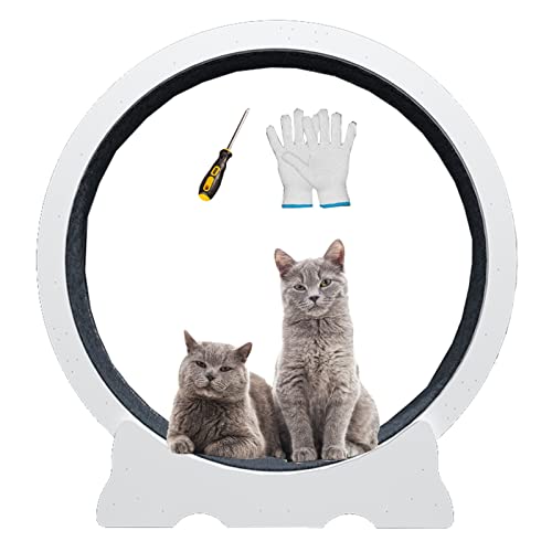 Laufband für Katzen, Laufband für Katzen, weiß, für den Innenbereich, Haustier-Katzenlaufband mit Bremse, Anti-Klemm-Design, Katzenkratzbrett für Kätzchen, klein, mittel, groß (Größe: M – In Laufband für Katzen, Laufband für Katzen, weiß, für den Innenbereich, Haustier-Katzenlaufband mit Bremse, Anti-Klemm-Design, Katzenkratzbrett für Kätzchen, klein, mittel, groß (Größe: M – In von Generic