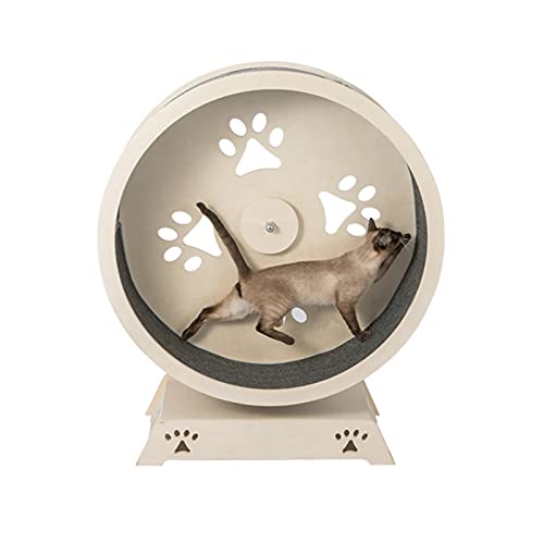 Laufband für Katzen, lautloses Laufband für Katzen, Übungs-Katzenrad, Roller, Klettergerüst, reibungsloser freier Lauf für kleine/mittelgroße Hunde, Indoor-Übungen, Haustierzubehör Laufband für Katzen, lautloses Laufband für Katzen, Übungs-Katzenrad, Roller, Klettergerüst, reibungsloser freier Lauf für kleine/mittelgroße Hunde, Indoor-Übungen, Haustierzubehör von Generic