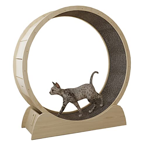 Laufrad für Katzen, 80/90/100 cm, Laufband für Katzen, Retro, rundes Laufrad für Katzen mit winziger Lücke, Lauf-Riesenrad für Katzen im Innenbereich aus Holz für Kätzchen, Erwachsene Katzen von Generic