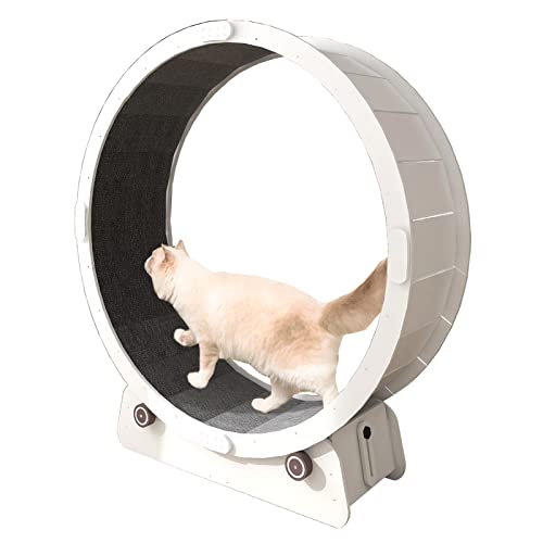 Laufrad für Katzen, Holz-Katzenlaufrad, Trainingsgerät für Hauskatzen, weißes, Robustes Laufband für Katzen mit Teppichboden, kleines, mittelgroßes und großes Laufrad für Katzen (Größe: M – Laufrad für Katzen, Holz-Katzenlaufrad, Trainingsgerät für Hauskatzen, weißes, Robustes Laufband für Katzen mit Teppichboden, kleines, mittelgroßes und großes Laufrad für Katzen (Größe: M – von Generic