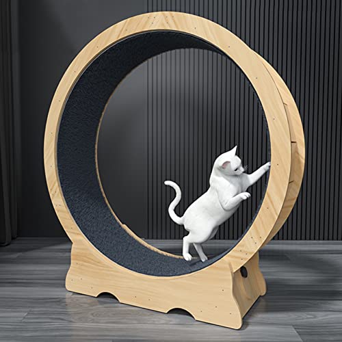 Laufrad für Katzen, Katzen-Übungsrad, Laufband für kleine/mittlere/große Katzen, Indoor-Katzenlaufrad mit Feststellvorrichtung, Katzenspielzeug zur Gewichtsreduktion bei Haustieren/Katzenkra Laufrad für Katzen, Katzen-Übungsrad, Laufband für kleine/mittlere/große Katzen, Indoor-Katzenlaufrad mit Feststellvorrichtung, Katzenspielzeug zur Gewichtsreduktion bei Haustieren/Katzenkra von Generic