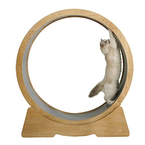 Laufrad für Katzen, Laufband für Katzen, Laufband für Katzen im Innenbereich, Laufrad für kleine/mittlere Haustiere, geräuschlos, Klettergerüst für Katzen, Spielzeug zum Abnehmen (Größe: 90 Laufrad für Katzen, Laufband für Katzen, Laufband für Katzen im Innenbereich, Laufrad für kleine/mittlere Haustiere, geräuschlos, Klettergerüst für Katzen, Spielzeug zum Abnehmen (Größe: 90 von Generic