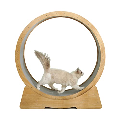 Laufrad für Katzen, Laufband für Katzen, Riesenrad mit Kratzer, Laufrad mit Superlastlager, Laufrad für Katzen und Katzenturm, Vorteile für die Gewichtsabnahme der Katze Laufrad für Katzen, Laufband für Katzen, Riesenrad mit Kratzer, Laufrad mit Superlastlager, Laufrad für Katzen und Katzenturm, Vorteile für die Gewichtsabnahme der Katze von Generic
