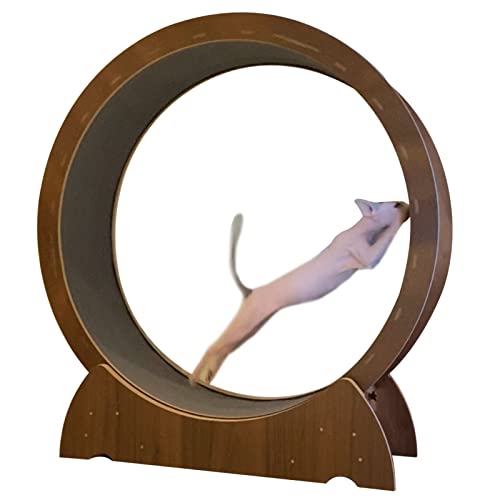 Laufrad für Katzen, Laufband für Katzen, braunes Katzen-Übungslaufrad, Laufrad für Katzenhamster zur Gewichtsreduktion von Haustierkatzen, Spielzeug für Katzen/Kätzchen/Kätzchen im Innenbere Laufrad für Katzen, Laufband für Katzen, braunes Katzen-Übungslaufrad, Laufrad für Katzenhamster zur Gewichtsreduktion von Haustierkatzen, Spielzeug für Katzen/Kätzchen/Kätzchen im Innenbere von Generic