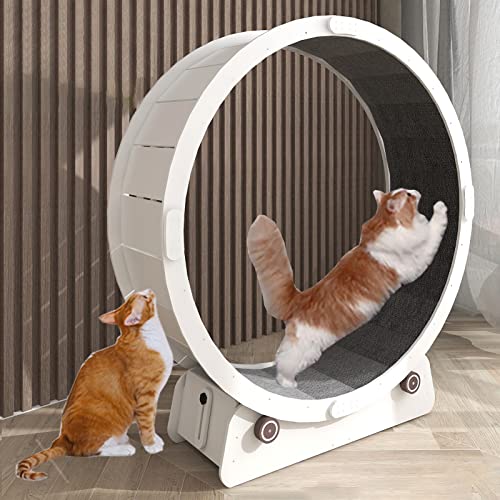 Laufrad für Katzen, Laufband für Katzen, klein, mittelgroß, groß, für den Innenbereich, leises Katzensportspielzeug/Katzenkratzbrett/Katzenübungsrad, weiß, für Kätzchen, kleine Hunde, Hausti Laufrad für Katzen, Laufband für Katzen, klein, mittelgroß, groß, für den Innenbereich, leises Katzensportspielzeug/Katzenkratzbrett/Katzenübungsrad, weiß, für Kätzchen, kleine Hunde, Hausti von Generic