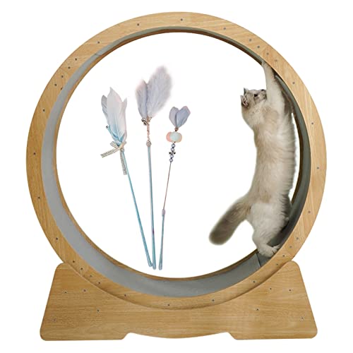 Laufrad für Katzen, Laufband für Katzen im Innenbereich, Robustes Laufrad für Katzen – inklusive Katzenstab, multifunktionales Haustierspielzeug/Kratzer/Katzenbaum Laufrad für Katzen, Laufband für Katzen im Innenbereich, Robustes Laufrad für Katzen – inklusive Katzenstab, multifunktionales Haustierspielzeug/Kratzer/Katzenbaum von Generic