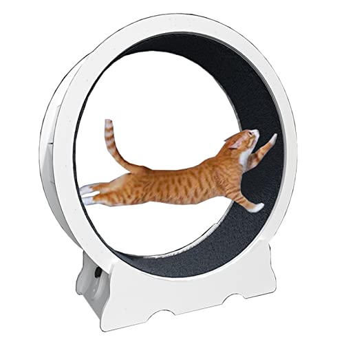 Laufrad für Katzen, Laufband für Katzen mit Kleiner Lücke, weiß, Laufrad für Katzen aus Holz, geräuschlos, verschleißfest, Spielzeug für kleine, mittelgroße und große Katzen, Katzenkratzer 8 Laufrad für Katzen, Laufband für Katzen mit Kleiner Lücke, weiß, Laufrad für Katzen aus Holz, geräuschlos, verschleißfest, Spielzeug für kleine, mittelgroße und große Katzen, Katzenkratzer 8 von Generic
