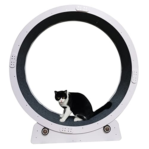 Laufrad für Katzen, Laufband für Katzenübungen – Design ohne Lücken, Laufrad für Katzen im Innenbereich, kleines/mittleres/großes Katzenspielzeug, sicheres Katzen-Riesenrad zum Abnehmen von von Generic