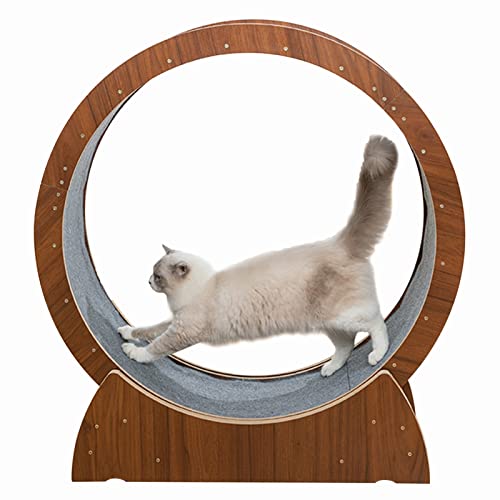 Laufrad für Katzen, Laufrad für Katzen, Braun, Anti-Klemm-Katzenlaufband für Hauskatzen, Robustes Laufrad für Katzen, multifunktionales Katzenspielzeug/Haustierspielzeug/Katzenrad (Größe: 10 Laufrad für Katzen, Laufrad für Katzen, Braun, Anti-Klemm-Katzenlaufband für Hauskatzen, Robustes Laufrad für Katzen, multifunktionales Katzenspielzeug/Haustierspielzeug/Katzenrad (Größe: 10 von Generic