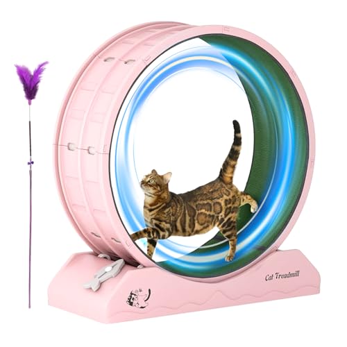 Laufrad für Katzen, Laufrad für Katzen, Laufband, 31,5 Zoll, Fitnessübung, Klettergerüst, für den Innenbereich, mit verstärkter Basis und Strecke von Generic