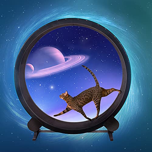 Laufrad für Katzen, Laufrad für Katzen, Laufband für Katzen mit austauschbaren Greifpolstern, Kratzbrett für Katzen, zum Greifen, Krabbeln, Regal, Rad, Rotation, Fitness, Spielzeug zum Abneh Laufrad für Katzen, Laufrad für Katzen, Laufband für Katzen mit austauschbaren Greifpolstern, Kratzbrett für Katzen, zum Greifen, Krabbeln, Regal, Rad, Rotation, Fitness, Spielzeug zum Abneh von Generic
