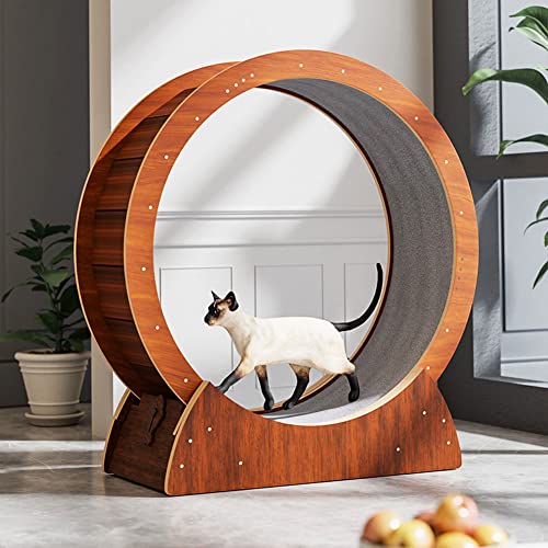 Laufrad für Katzen, Laufrad für Katzen, Laufband mit Laufband mit Teppichboden, Gewichtsverlustgerät für Katzen, Haustierspielzeug, für Katzen und kleine Hunde,L Laufrad für Katzen, Laufrad für Katzen, Laufband mit Laufband mit Teppichboden, Gewichtsverlustgerät für Katzen, Haustierspielzeug, für Katzen und kleine Hunde,L von Generic