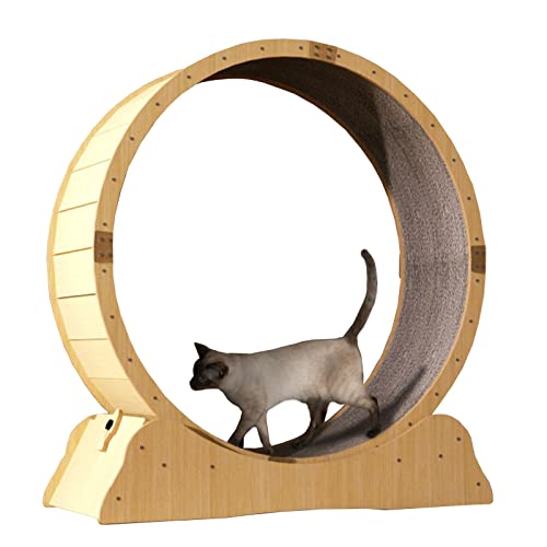 Laufrad für Katzen, Laufrad für Katzen, Robustes Laufband für Katzen, leises Laufrad für Katzen im Innenbereich, Laufradspielzeug für große Haustiere mit Feststellvorrichtung (Größe: 90 cm ( Laufrad für Katzen, Laufrad für Katzen, Robustes Laufband für Katzen, leises Laufrad für Katzen im Innenbereich, Laufradspielzeug für große Haustiere mit Feststellvorrichtung (Größe: 90 cm ( von Generic