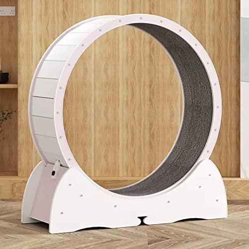 Laufrad für Katzen, Laufrad für Katzen, Rosa, Laufband für Katzen mit winzigen Lücken, leise und robust, langlebiges Laufrad für Katzen und Hamster, mit sicherer Verriegelung, einfach zu mon Laufrad für Katzen, Laufrad für Katzen, Rosa, Laufband für Katzen mit winzigen Lücken, leise und robust, langlebiges Laufrad für Katzen und Hamster, mit sicherer Verriegelung, einfach zu mon von Generic