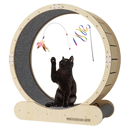 Laufrad für Katzen, Laufrad für Katzen, aus Holz, mit Katzenstab, Spielzeug, 80/95/105 cm, Laufband für Katzen mit Kleiner Lücke, leises Laufspielzeug für Kätzchen und Katzen, Kratzbrett, La von Generic