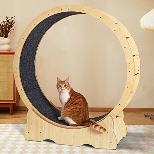 Laufrad für Katzen, Laufrad für Katzen, aus Holz für den Innenbereich, kleine, mittelgroße und große Katze zum Kratzen, Laufband für Katzen, leise, mit Bremse, Katzenrad zum Laufen und Kratz von Generic