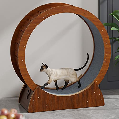 Laufrad für Katzen, Laufrad für Katzen, groß, aus Holz, für den Innenbereich, Laufrad für Kätzchen, Katzen/Kratzbrett/Katzenspielzeug, braunes Laufrad für Katzen, leise, 68/78/88/98 cm (Größ Laufrad für Katzen, Laufrad für Katzen, groß, aus Holz, für den Innenbereich, Laufrad für Kätzchen, Katzen/Kratzbrett/Katzenspielzeug, braunes Laufrad für Katzen, leise, 68/78/88/98 cm (Größ von Generic
