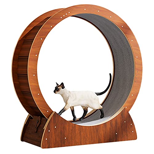 Laufrad für Katzen, Laufrad für Katzen, mit Sicherheitsverriegelung, geräuschloses Laufrad für Katzen/Laufrad für Katzen, einfache Montage, Holzfarbe (Größe: Innendurchmesser 68 cm (26,8 Zol von Generic