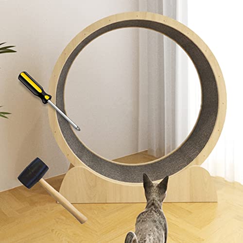 Laufrad für Katzen, Laufrad für Katzen, mit Werkzeug, stabiles und Starkes Laufband für Katzen, Hamsterrad für Katzen/kleine Hunde, Haustierspielzeug, Katzenspielzeug, Gewichtsverlustgerät f Laufrad für Katzen, Laufrad für Katzen, mit Werkzeug, stabiles und Starkes Laufband für Katzen, Hamsterrad für Katzen/kleine Hunde, Haustierspielzeug, Katzenspielzeug, Gewichtsverlustgerät f von Generic