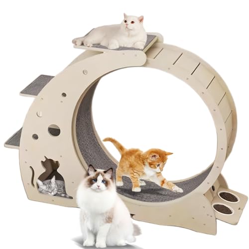 Laufrad für Katzen, Laufräder für Wohnungskatzen, geräuscharmes Laufband für Katzen mit Abnehmbarer, mit Teppichboden ausgelegter Laufbahn, sportlich für die Gesundheit und Fitness Ihres Haustieres. Laufrad für Katzen, Laufräder für Wohnungskatzen, geräuscharmes Laufband für Katzen mit Abnehmbarer, mit Teppichboden ausgelegter Laufbahn, sportlich für die Gesundheit und Fitness Ihres Haustieres. von Generic
