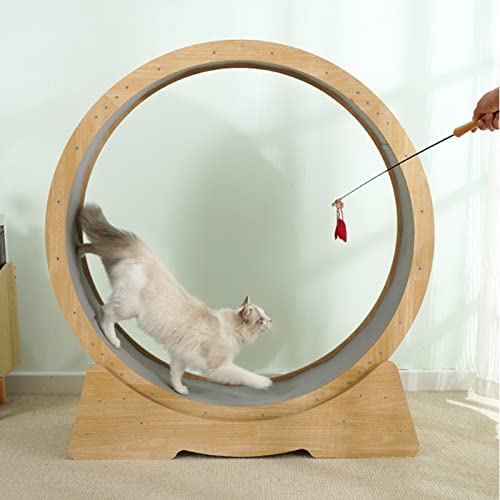 Laufrad für Katzen, Massivholz, Laufband für Katzen, leise und stabil, Laufrad für Katzen, haustierfreundlich, Energieüberschuss, Katzenturm, Hamsterrad, Kratzbaum, Hamsterrad Laufrad für Katzen, Massivholz, Laufband für Katzen, leise und stabil, Laufrad für Katzen, haustierfreundlich, Energieüberschuss, Katzenturm, Hamsterrad, Kratzbaum, Hamsterrad von Generic