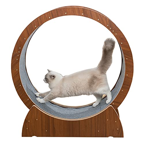 Laufrad für Katzen, Naturholz, Katzen-Übungsrad, braun, sicheres rundes Kätzchenspielzeug, Katzenlaufband, leise, kleine Lücke, Katzenradspielzeug mit Bremse, Teppich, Landebahn (Größe: M-Du Laufrad für Katzen, Naturholz, Katzen-Übungsrad, braun, sicheres rundes Kätzchenspielzeug, Katzenlaufband, leise, kleine Lücke, Katzenradspielzeug mit Bremse, Teppich, Landebahn (Größe: M-Du von Generic