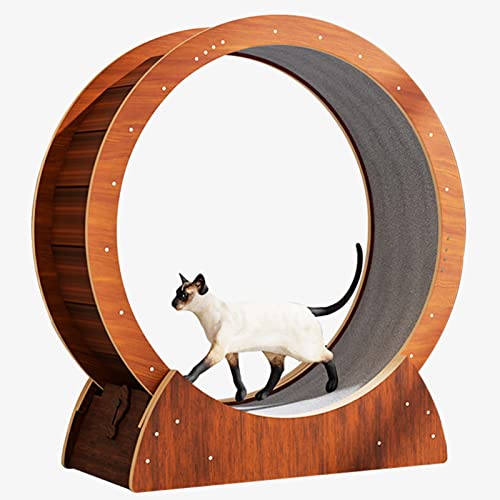Laufrad für Katzen, braunes Holzmaserungs-Katzenlaufband ohne Lücke, 68, 78, 88, 98 cm Durchmesser, geräuschlos, zum Abnehmen, Übungsrad für Indoor-Katze, Katzenlaufrad (Größe: S-68 cm (26 3 Laufrad für Katzen, braunes Holzmaserungs-Katzenlaufband ohne Lücke, 68, 78, 88, 98 cm Durchmesser, geräuschlos, zum Abnehmen, Übungsrad für Indoor-Katze, Katzenlaufrad (Größe: S-68 cm (26 3 von Generic