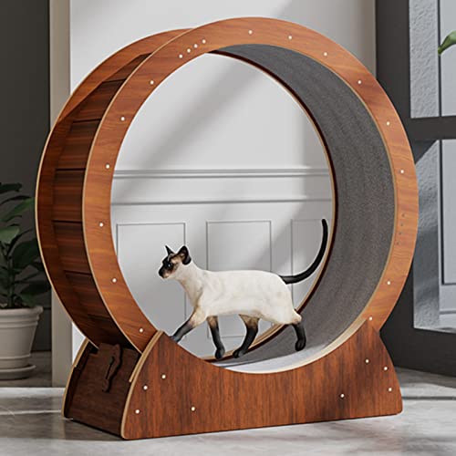 Laufrad für Katzen, braunes Katzen-Übungsrad, Laufband, Katzen-Laufrad für Hauskatzen, multifunktionales Katzen-Riesenrad/Haustier-Katzenspielzeug/Katzenmöbel (Größe: 80 cm/31,5 Zoll) von Generic