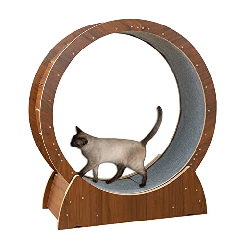 Laufrad für Katzen, braunes Laufrad für Katzen zum Abnehmen, schweres Katzen-/Hundelaufband aus Holz, geräuschlos drehende Riemenscheiben, Laufrad für Katzen, Katzenmöbel, Katzenturm (Größe: Laufrad für Katzen, braunes Laufrad für Katzen zum Abnehmen, schweres Katzen-/Hundelaufband aus Holz, geräuschlos drehende Riemenscheiben, Laufrad für Katzen, Katzenmöbel, Katzenturm (Größe: von Generic