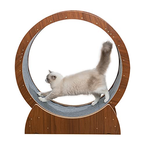 Laufrad für Katzen, braunes Laufrad für Katzen zum Abnehmen, superbelastbares Laufband für Katzen, Laufrad für Katzen im Innenbereich, einfach einzurichten, Katzenzubehör für Katzen im Innen Laufrad für Katzen, braunes Laufrad für Katzen zum Abnehmen, superbelastbares Laufband für Katzen, Laufrad für Katzen im Innenbereich, einfach einzurichten, Katzenzubehör für Katzen im Innen von Generic