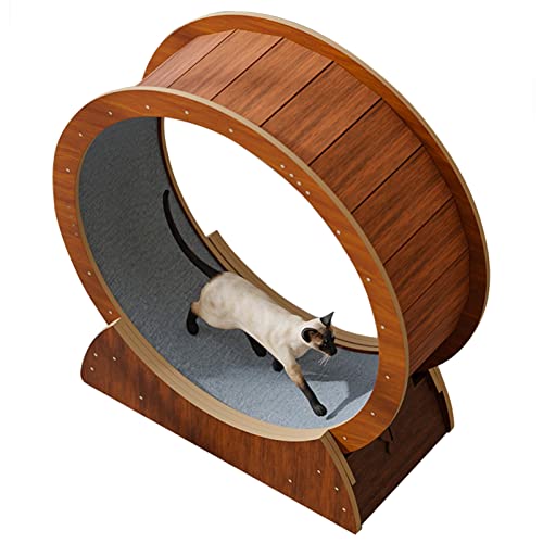 Laufrad für Katzen, braunes Laufrad für Katzen zur Gewichtsreduktion, leises Laufband für Katzen im Innenbereich, Riesenrad für kleine/mittlere Laufräder für Katzen, Hamsterrad-Spielzeug (Gr Laufrad für Katzen, braunes Laufrad für Katzen zur Gewichtsreduktion, leises Laufband für Katzen im Innenbereich, Riesenrad für kleine/mittlere Laufräder für Katzen, Hamsterrad-Spielzeug (Gr von Generic