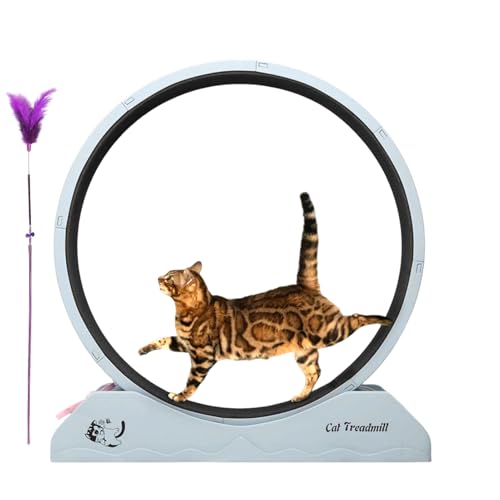 Laufrad für Katzen, großes Katzenlaufrad mit Teaser, De, Fitnessgerät für Kätzchen | von Generic