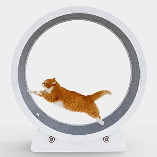 Laufrad für Katzen, kein Lücken-Design, Indoor-Katzen-Übungsrad, Katzenlaufband dreht Sich leise und sanft, Gewichtsverlust-Hamsterrad für Kätzchen, Katzenspielzeug-Kratzbaum (Größe: Größe L Laufrad für Katzen, kein Lücken-Design, Indoor-Katzen-Übungsrad, Katzenlaufband dreht Sich leise und sanft, Gewichtsverlust-Hamsterrad für Kätzchen, Katzenspielzeug-Kratzbaum (Größe: Größe L von Generic