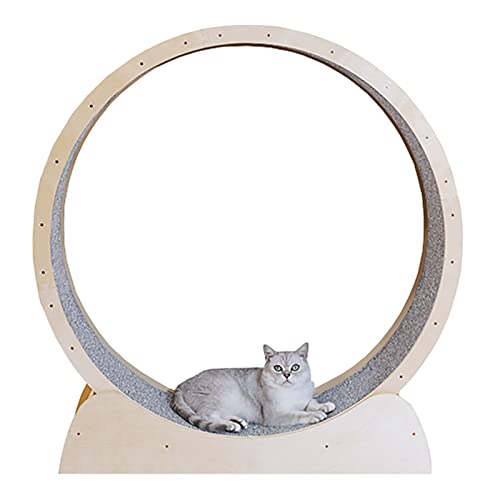 Laufrad für Katzen, leises, drehendes Katzen-Übungsrad, natürliche Holzfarbe, Katzenkratz-Sportspielzeug für EIN längeres Leben der Katze, Katzenlaufband mit Sicherheitsverriegelungsstift (G Laufrad für Katzen, leises, drehendes Katzen-Übungsrad, natürliche Holzfarbe, Katzenkratz-Sportspielzeug für EIN längeres Leben der Katze, Katzenlaufband mit Sicherheitsverriegelungsstift (G von Generic
